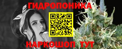 круглые Кимры
