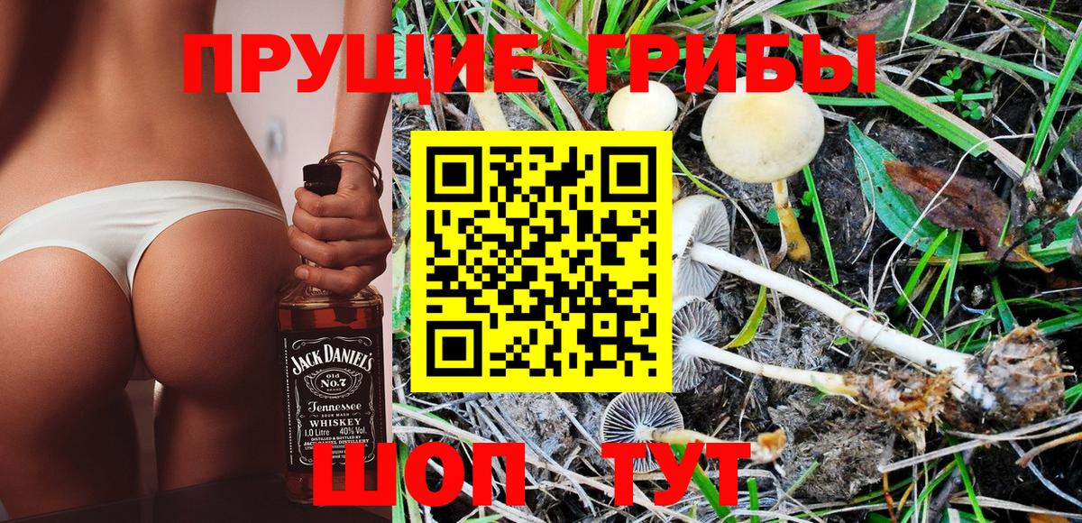Галлюциногенные грибы Psilocybe  Вход с VPN  Комсомольск-на-Амуре 